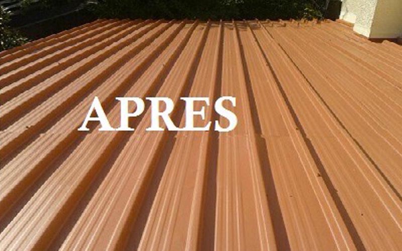 Toiture rénovée après traitement
